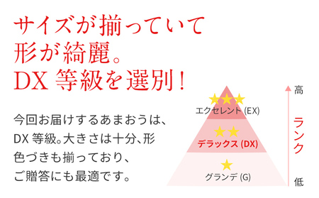 福岡県田川市産 あまおう 8or9入り×4パックイチゴ いちご 苺 贈答にも