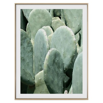 叢叢多肉小鮮綠I 木色  40 x 30cm