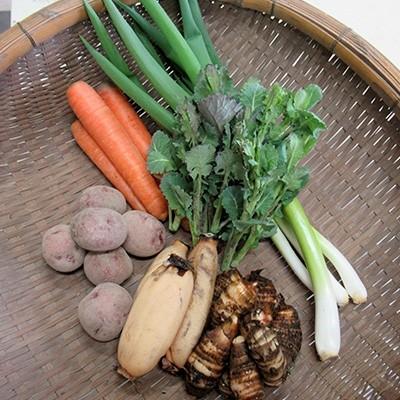 ふるさと納税 木津川市 自然体な野菜セット