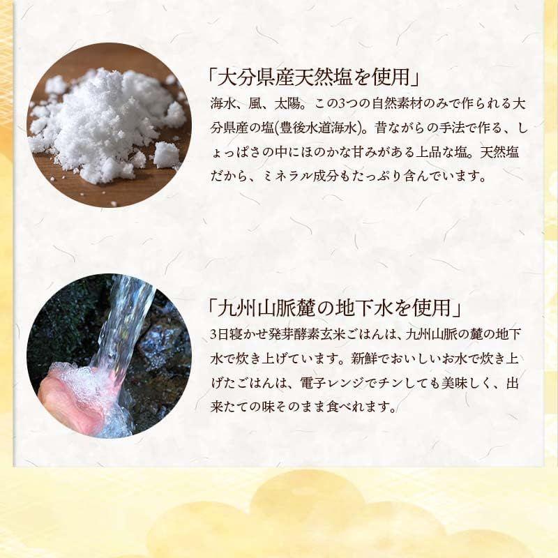 残留農薬ゼロ 発芽酵素玄米炊飯セット 無洗米３合×５（約30食分）ご自宅で洗わずにそのまま炊ける発芽酵素玄米 酵素玄米