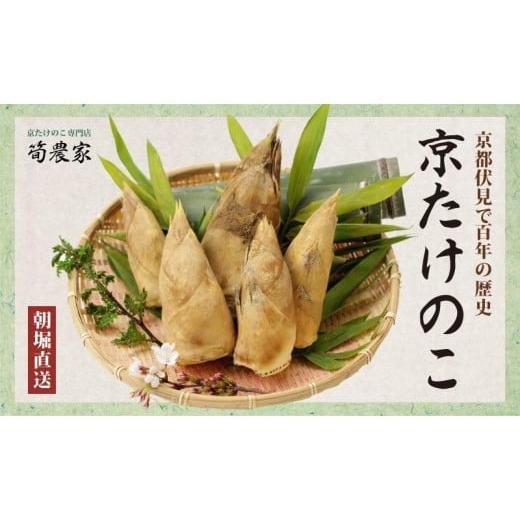 ふるさと納税 京都府 京都市 京都産 朝堀りたけのこ 優秀品 3KG(3-5本)