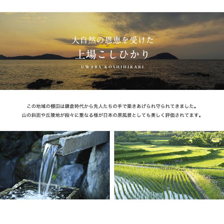 新米　令和5年産　米 お米 2kg 送料無料 上場コシヒカリ 佐賀県産　令和5年度 2kg こしひかり