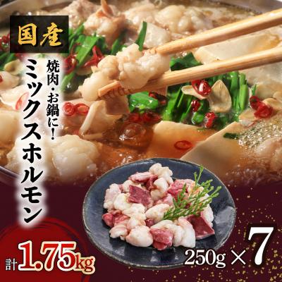 ふるさと納税 鹿児島市 焼肉・お鍋に!ミックスホルモン1.75kg