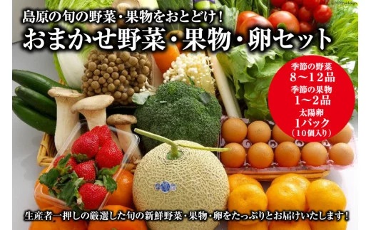 AE236島原の旬の野菜・果物をおとどけ！おまかせ野菜・果物・卵セット