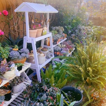 免運/可開票 大型實木花架置物架裝飾陳列展架多功能復古雜貨花園陽臺