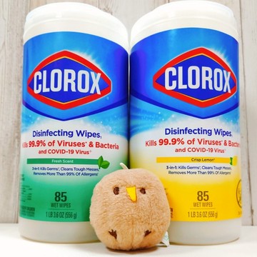 COSTCO 好市多 美國 Clorox 高樂氏 萬用清潔擦拭濕巾 濕巾 抹布 擦拭布 萬用 清新 檸檬 除臭 85張