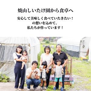 ふるさと納税 ［おためしパック］生しいたけ 肉厚500ｇ （肉厚椎茸12〜15個）ジャンボ手のひらサイズ  焼山しいたけ園 椎茸 糸魚川  新潟県糸魚川市