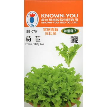 【拈花微笑】菊苣｜貝比蔬菜種子｜5g｜非基因改造種子｜蔬菜｜蔬果｜有機無毒｜高發芽率