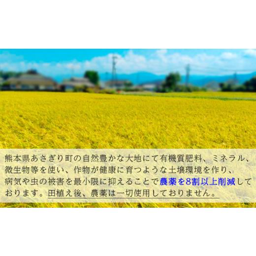 ふるさと納税 熊本県 あさぎり町 熊本県あさぎり町産ヒノヒカリ　白米20kg　農薬8割削減