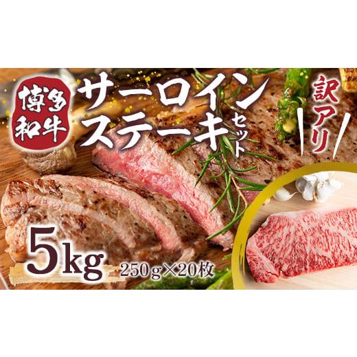 ふるさと納税 福岡県 宇美町 訳アリ！博多和牛サーロインステーキセット 5kg（250g×20枚）　DX034