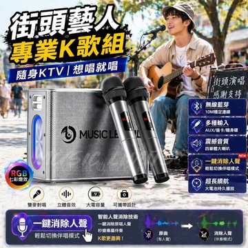 🏅公司貨可開票🏅 柏林之聲 藍芽喇叭重低音300w  麥克風音響 大功率K歌音箱 街頭藝人卡拉ok 行動ktv 工地音響