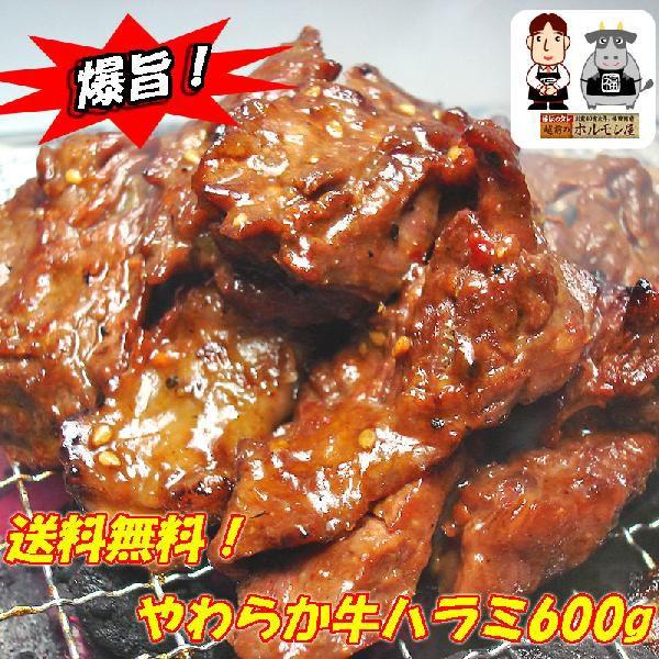 味付けやわらか牛ハラミ300ｇ×2パック入り お歳暮 肉の日 送料無料 ホルモン バーベキュー 父の日 ホルモン ギフト プレゼント 贈り物 おくりもの お花見にも