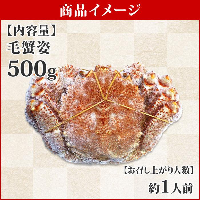 御歳暮 北海道 毛蟹 500g カニ ギフト かに 姿 蟹 ボイル 毛ガニ 海鮮 お土産 海産物