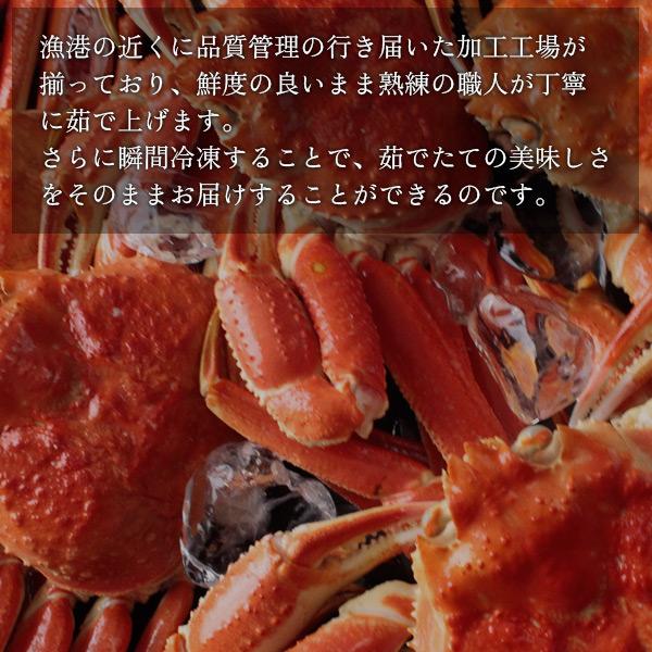 お歳暮 ギフト ボイルズワイガニ姿1.2kg（600g前後×2枚セット） かに カニ 蟹 送料無料（北海道・沖縄を除く）