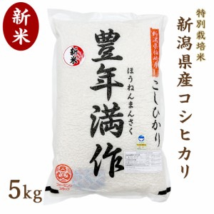 新米 令和5年度産 新潟県産 コシヒカリ 5kg 特別栽培米 真空パック 精米