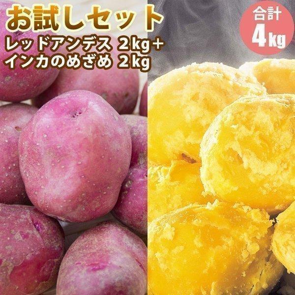 じゃがいも ジャガイモ インカのめざめ ２kg レッドアンデス ２kg　お試しセット （新じゃがいも） 北海道産 お礼 御祝 産直 内祝 お取り寄せ