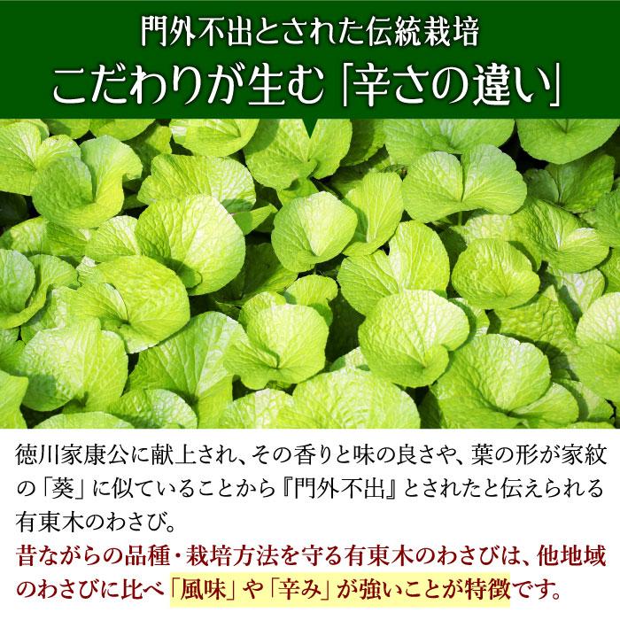 わさび栽培発祥の地「有東木」の本わさび　大サイズ1本（60g〜100g） ワサビ 山葵 生わさび 生ワサビ 本ワサビ 静岡県産 静岡 有東木 送料無料