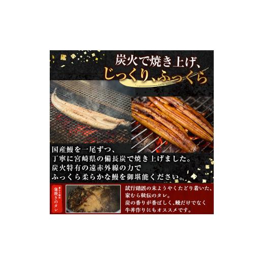 ふるさと納税 鹿児島県 日置市 No.310 鹿児島県産うなぎの炭火蒲焼(1尾・タレ付)と自慢の出汁巻き卵1本付！保存料その他一切不使用