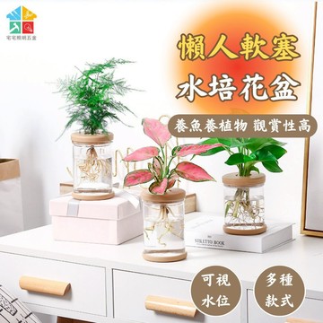 【含軟塞|宅宅照明五金】懶人水培造型花盆 水耕植物盆 水培盆 可養魚 觀賞盆栽 水耕 懶人花盆 多肉植物 懶人盆栽