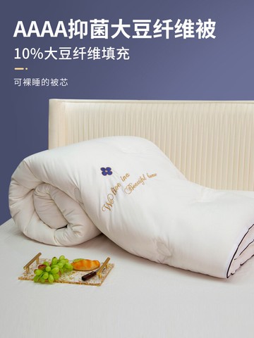 A類抗菌大豆纖維被子冬被春秋被夏季夏涼被加厚保暖被芯四季通用
