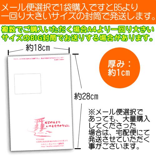 生姜 粉末 しょうが パウダー 100ｇ 高知県産ウルトラ生姜 殺菌蒸し工程 1cc計量スプーン入り メール便 送料無料