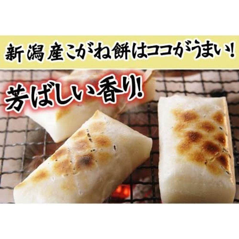 角餅 新潟産こがねもち 570g (12枚入り) 10袋セット (新潟産こがね餅米100%使用 生餅)