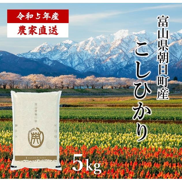 令和5年産 富山県朝日町産 こしひかり 5kg 白米 農家直送 送料無料