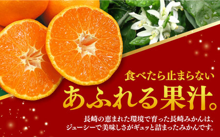 みかん 約10kg（100～120個）    長与町 ＜長崎西彼農業協同組合 長与支店＞ 温州みかん みかん10kg 温州  [EAH003]