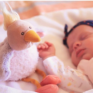 法國 Moulin Roty Bazar 禿鷹娃娃 (小) 26cm