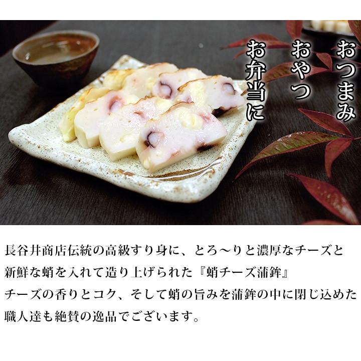 さつま揚げ 蒲鉾  練り物詰め合わせ 練り物お取り寄せ ご自宅用 蛸チーズかまぼこ入りお試しセット5種 おつまみ 送料無料 おつまみ 岡山 さつまあげ