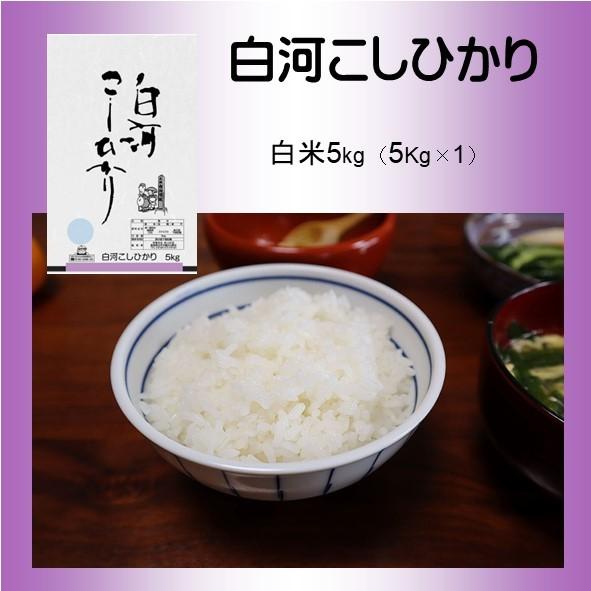 令和5年産　白米　5Kg　白河コシヒカリ　米　お米　福島県中通り　白河産　贈答