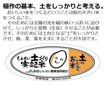 《定期便》 5kg×12回 令和5年産 ひとめぼれ 土作り実証米 合計60kg 秋田県産