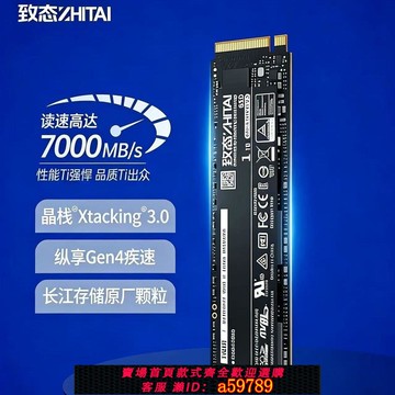 【全網低價 可打統編】致態長江儲存 1TB SSD固態硬碟 NVMe M.2介面 Ti600 PCIe 4.0