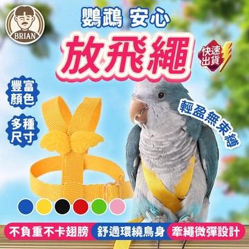鸚鵡放飛繩【布萊恩👨🏻隔日到貨】遛鳥繩 鳥類牽引繩 鳥用牽繩 鸚鵡胸背帶 防走失牽繩 鳥訓練繩 鳥類用品