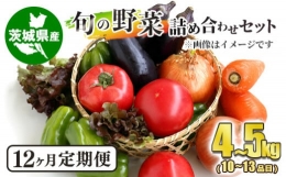  旬の野菜詰め合わせセット 毎月12ヶ月