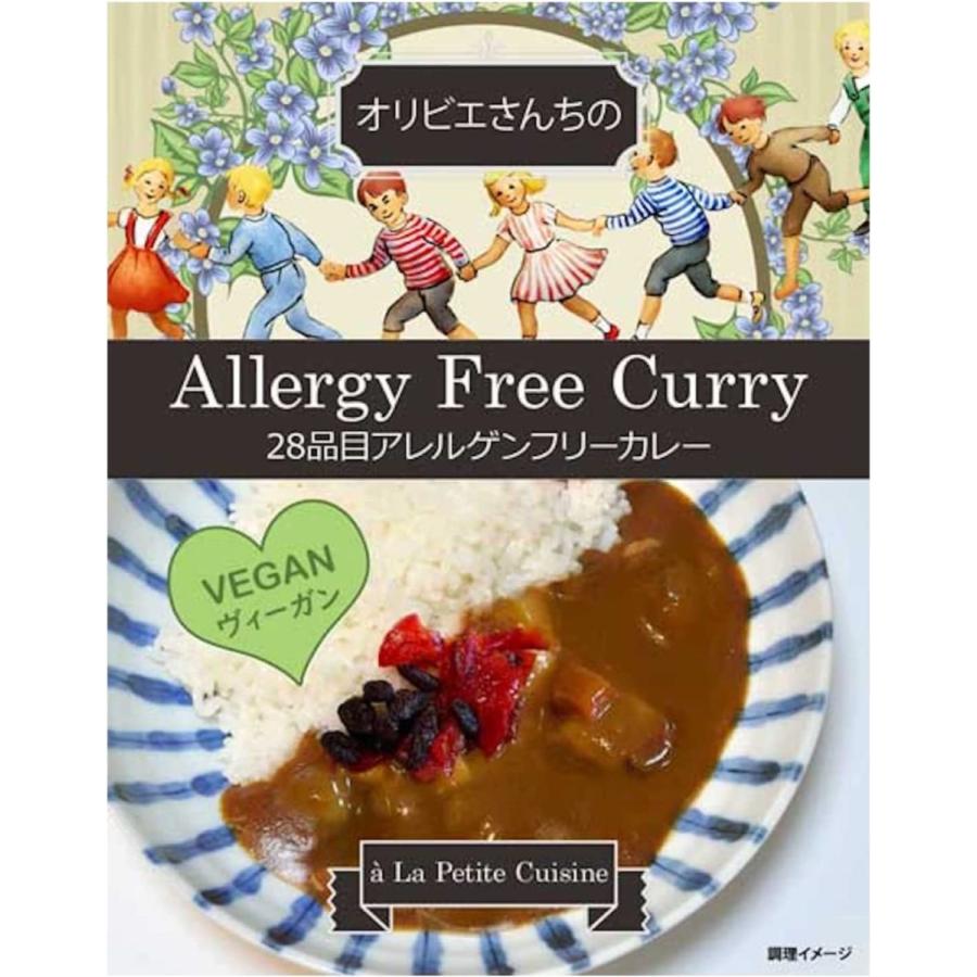 オリビエさんちの ヴィーガン カレー （２８品目アレルゲンフリー） レトルト こだわり食材 高級 食品