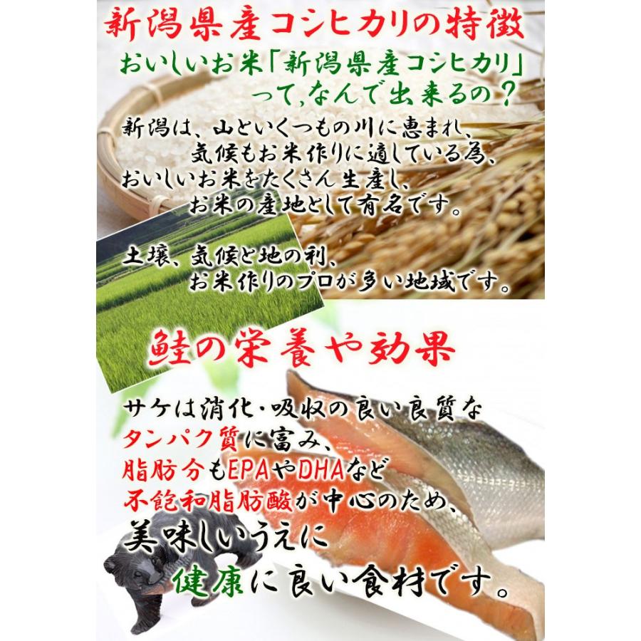 鮭がゆ250ｇ (たいまつ食品) 低カロリー 健康志向のレトルト食品 おかゆ 新潟県産こしひかり