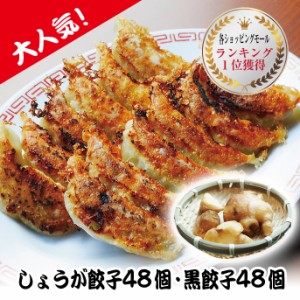 絶品！しょうが餃子48個　黒餃子48個　餃子 ギョーザ ぎょうざ 中華 惣菜 点心 お取り寄せ グルメ