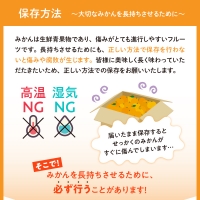 川田柑橘園 広島県産大長柑橘 「不知火（しらぬい）」4kg