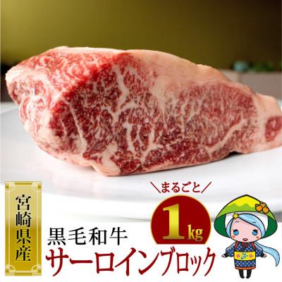 ふるさと納税 美郷町 宮崎県産黒毛和牛サーロインブロック約1kg