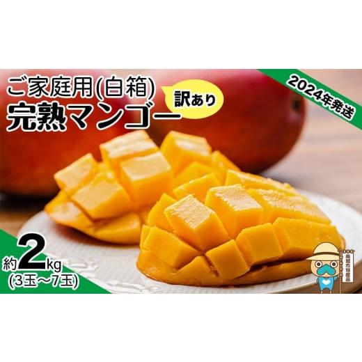 ふるさと納税 沖縄県 南城市 ＜訳あり・ご家庭用＞完熟アップルマンゴー約2kg（白箱）3玉〜7玉