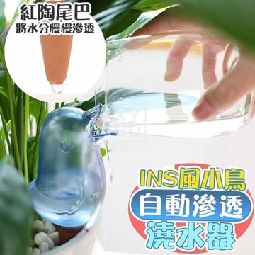 AS塑料+紅陶 Ins小鳥自動滲透澆水器 150ml