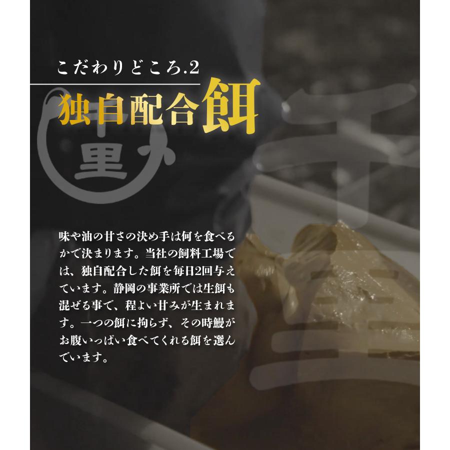 ギフト うなぎ 蒲焼 千里うなぎ 送料無料 ギフト 千里うなぎ蒲焼 (大) １５０ｇ 無頭 ３尾 国産 うなぎ セット 冷凍発送  鰻 ウナギ 鹿児島