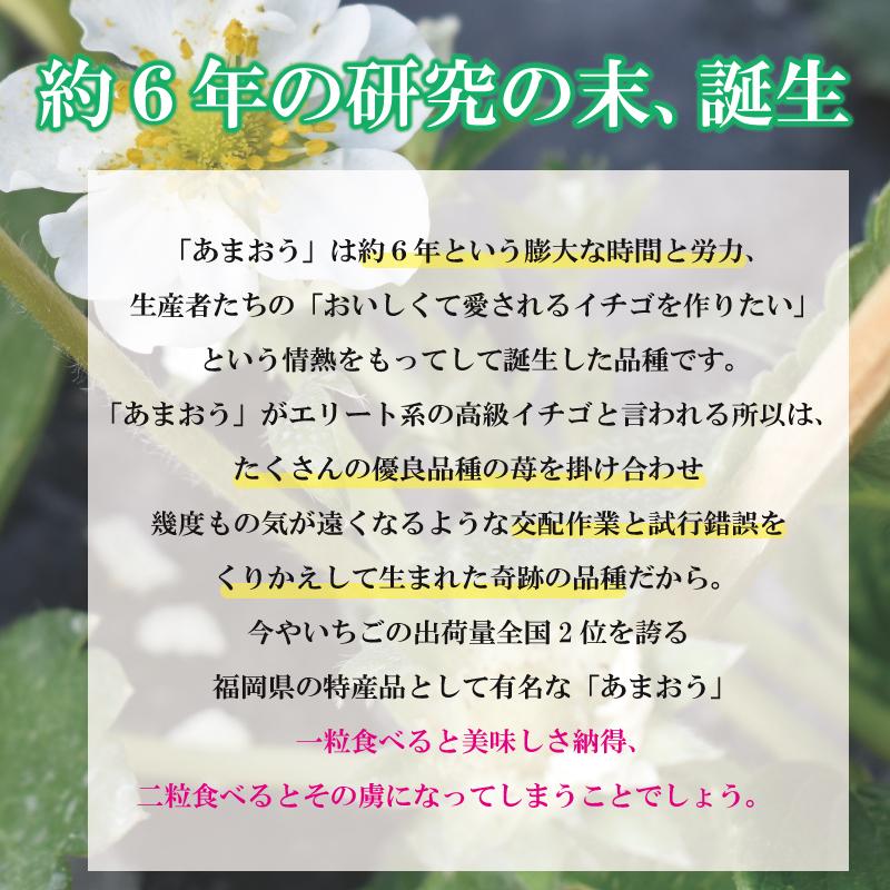 2月上旬発送予定 あまおう 福岡県産 いちご イチゴ 苺 朝採り 農家直送 産地直送 お取り寄せ 甘い 美味しい 濃厚 旬 ご家庭用 ご自宅用 280g×2パック