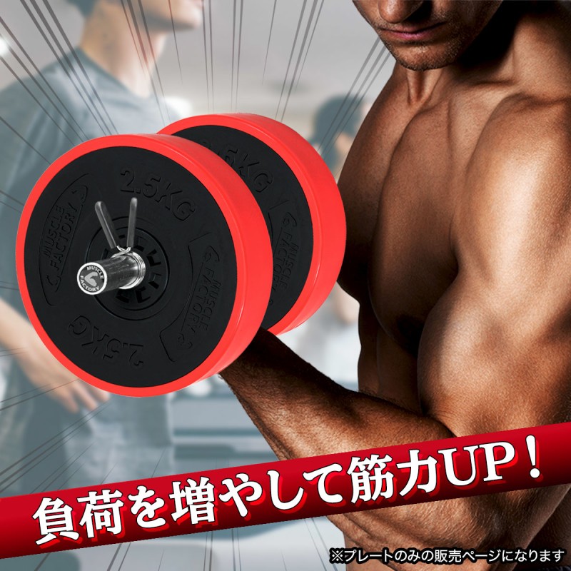 ふるさと納税 1年保証 バーベル 用 プレート 穴あき 10kg 2個セット