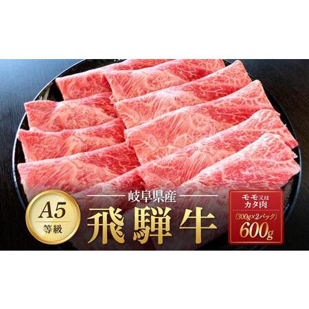 ふるさと納税 飛騨牛Ａ5 赤身肉 スライス 600g（300g×2パック）モモ 又は カタ 肉 ｜国産 肉 牛肉 焼肉 すき焼き しゃぶしゃぶ 和牛 黒毛和.. 岐阜県大野町