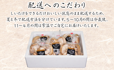 しいたけ 1kg 冷蔵 国産 徳島県 椎茸 しいたけ きのこ 肉厚 濃厚 家庭用 おかず 大人気しいたけ 人気しいたけ 絶品しいたけ 至高しいたけ 国産しいたけ 徳島県産しいたけ 徳島県しいたけ ギフトしいたけ お中元しいたけ 贈答用しいたけ 本格しいたけ しいたけ