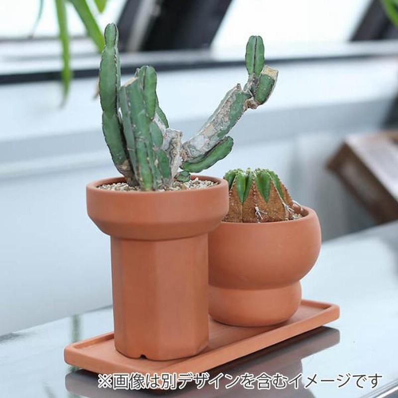 植木鉢 テラコッタ 鉢 プランター ポット パイプ ダルトン