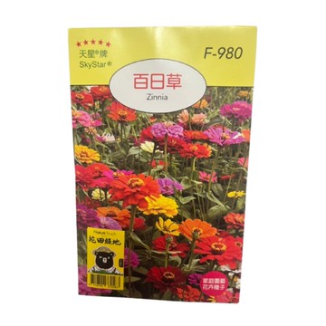 【向花緣】天星牌 百日草 - 花卉種子