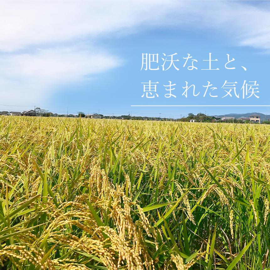 熊本県産 くまさんの輝き 3kg お米 精米 白米 300ｇ×5袋×2箱  3000g 国産